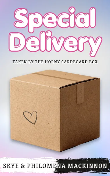 Cover of Special Delivery: Taken by the Horny Cardboard Box by Philomena MacKinnon
